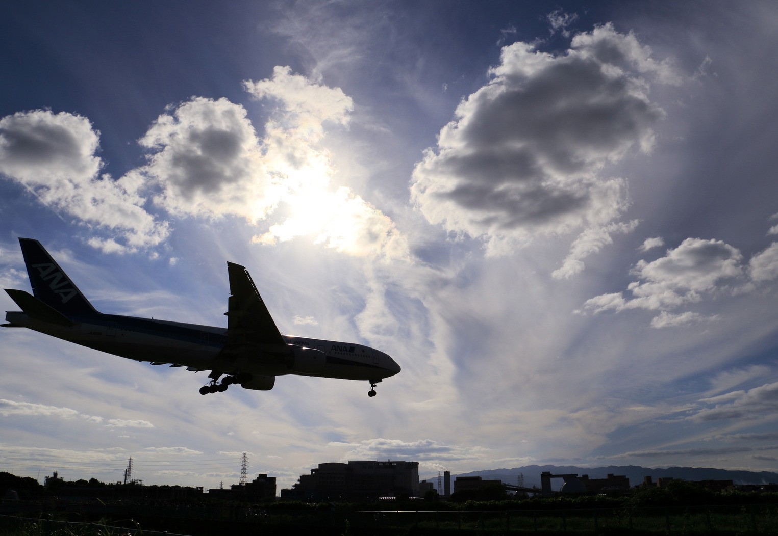 海外調査・外国人調査